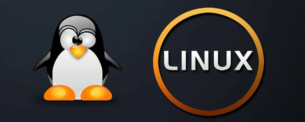 Debian 命令行修改IP、网关、DNS